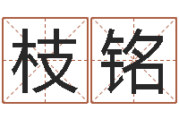 管枝铭产品起名测名打分-手机免费算命