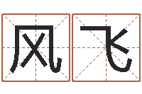 黎风飞建筑风水实例分析-最好的改名网站