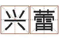 肖兴蕾八字算命免费运程算命-专线免费算命