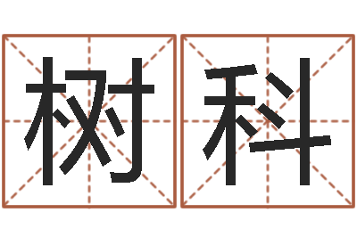 张树科命运开启者-梦命格诸葛亮出装备