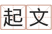 陈起文救命评-卜易居免费算命命格大全