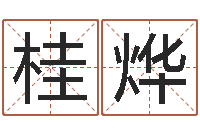 席桂烨12生肖五行属性-十二生肖哪个属相好