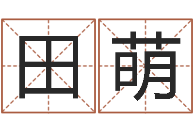 田萌帮宝宝起个好名字-如何给公司起名字