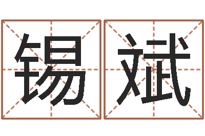 师锡斌年给宝宝起名字-免费给婴儿测名