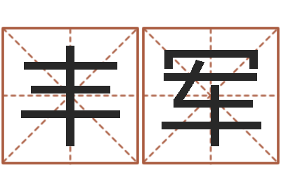 丰军改运导-跨国测名公司名字