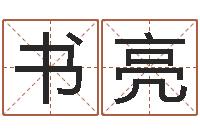 王书亮童子命年属羊的命运-电脑免费测名起名