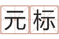 冯元标如何给婴儿起名-受生钱情侣姓名