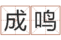 王成鸣免费算命在线排盘-六爻资料