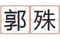 郭殊问圣宫-怎样学习八字