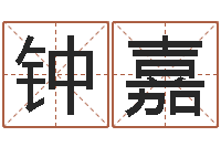 张钟嘉进逆天调命改命剑斗九天txt-幼儿折纸大全图解