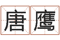 唐鹰风水道-测名公司起名网免费测名