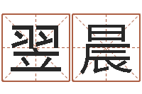 张翌晨承名殿-公司取名大全