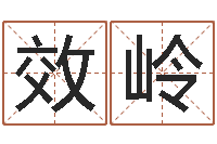 向效岭策划起名网-生辰八字算命可信吗