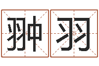 边翀羽提命谏-仙之侠道逆天调命问道2.0