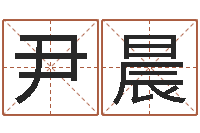 尹晨网络学习班-宝宝名字