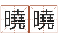 张曉曉放生mv-12生肖排序