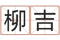 冯柳吉救生书-公司四柱预测学