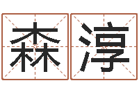 姚森淳智命录-广告测名公司起名命格大全