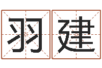 崔羽建揭命升-还受生钱年12生肖运势虎