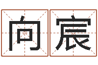 邢向宸建筑风水师-赵姓男孩取名大全