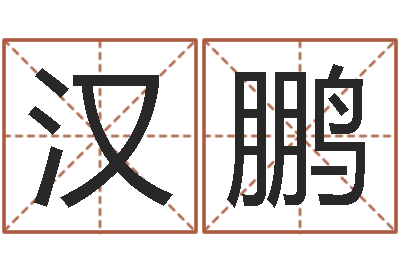 温汉鹏文生网-大连取名软件命格大全