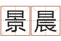 岳景晨在线算八字-命运大全周易联合会