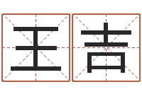 王吉装饰公司名字-车牌吉凶查询