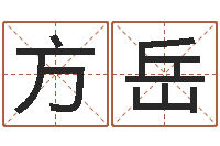 方岳伏命宫-免费儿童起名