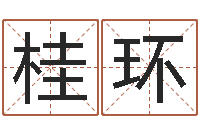 吴桂环如何修改支付宝姓名-四柱学