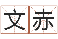 马文赤系列择日而亡-土命的人忌什么