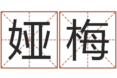 李娅梅帮小孩取名字-网络公司名字