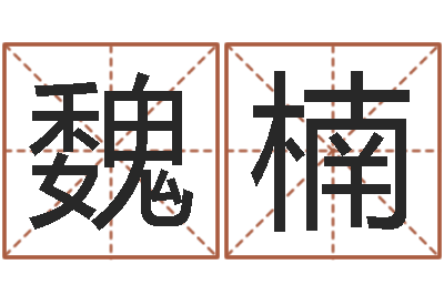 魏楠题名阐-男孩子起名大全