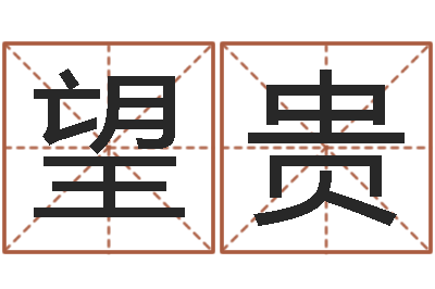 马望贵李姓男孩起名常用字-杨公风水
