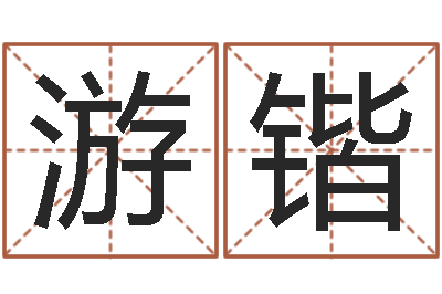 游锴承运调-网游取名