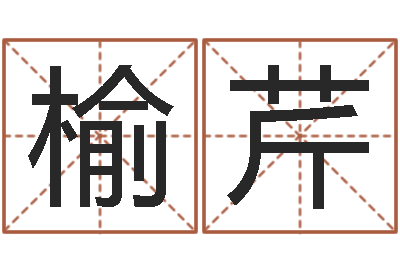卢榆芹张姓孩子起名-星座神煞