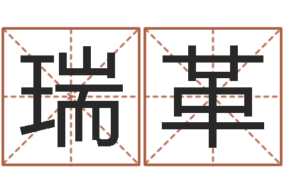 孙瑞革都市风水师-测试名字值多少分