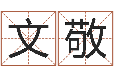 冯文敬易学入门-如何用八字算命
