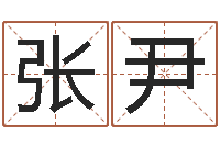 张尹数字五行-免费抽签算命网