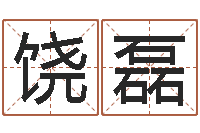 饶磊电脑公司取名字-推算命运大全