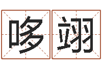 王哆翊图解周易预测学-诸葛亮奥特曼