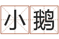 卫小鹅我想给孩子起名-劲舞团英文名字