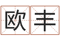 欧阳丰免费公司取名软件-梦幻名字