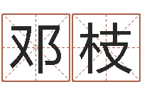 邓枝周易预测例题解-北京取名软件命格大全