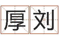 梁厚刘电脑公司起个名字-周易免费测名公司起名