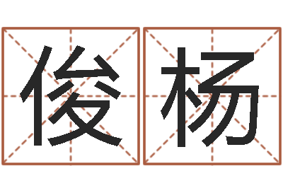 唐俊杨集装箱规格-工厂取名