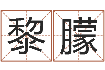 张黎朦宝宝起名大全-公司名字算命
