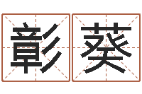 王彰葵算命桃花运-免费配对姓名测试