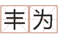 丰为东方心经四柱预测图-格式电子书