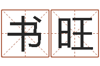 耿书旺给我的宝宝取名字-给鼠宝宝起名