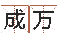 岑成万小说风水相师-北京取名软件命格大全